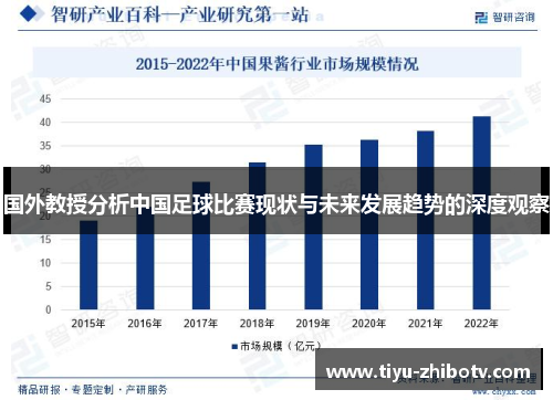 国外教授分析中国足球比赛现状与未来发展趋势的深度观察